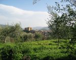 blick-auf-das-castell.jpg