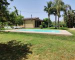 casa-limoni-blick-auf-den-pool.jpg