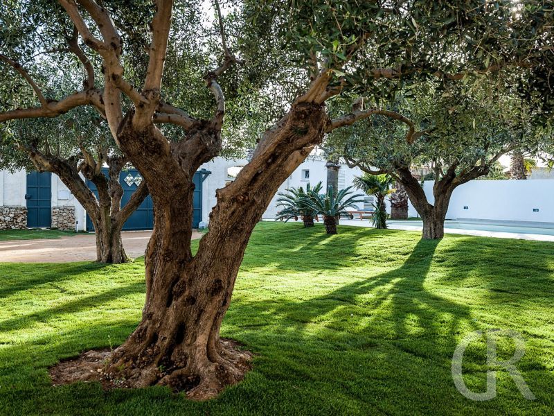 casa-marsala-1-garten.jpg