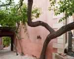 casa-titi-baeume.jpg