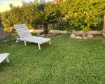 ferienhaus-grecale-garten-mit-sonnenliegen.jpg