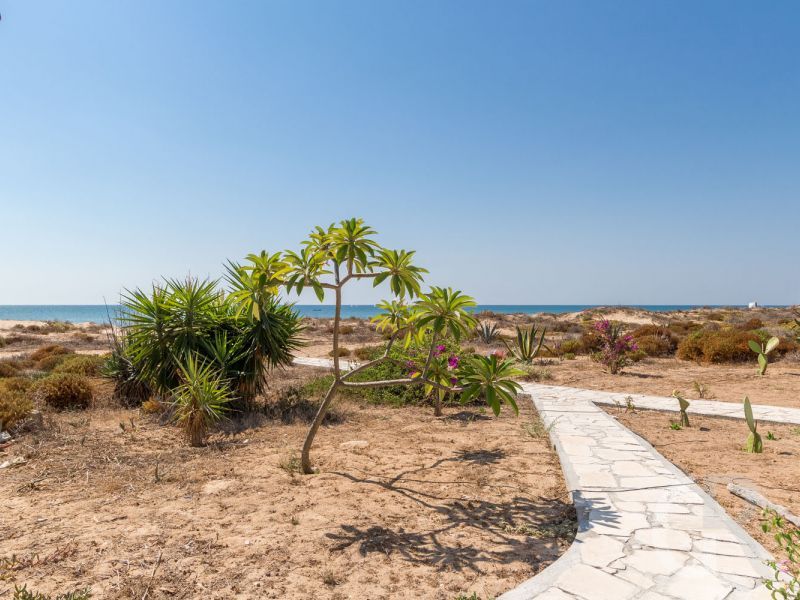 ferienwohnung-amarillis-blick-zum-meer.jpg