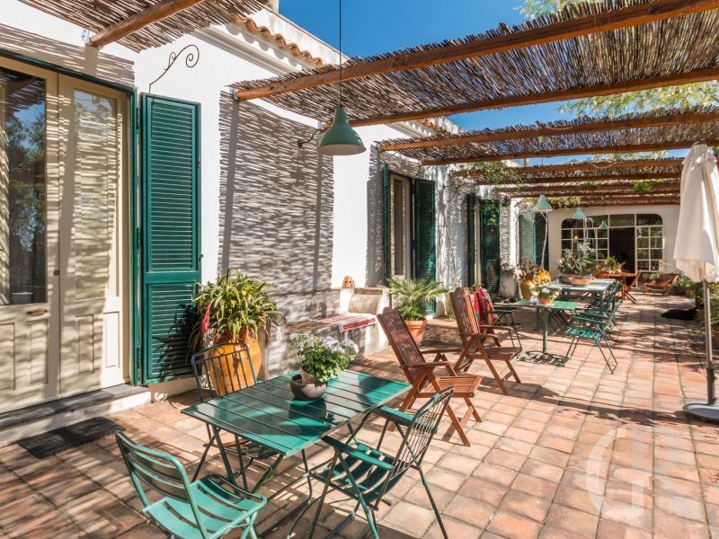 santa-venerina-pippinitto-terrasse.jpg
