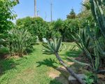 villa-elettra-garten-mit-pflanzen.jpg