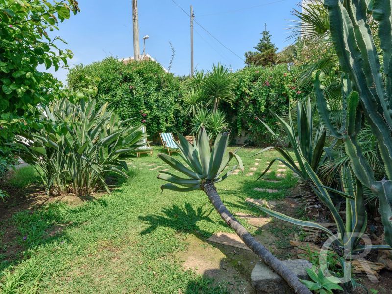 villa-elettra-garten-mit-pflanzen.jpg