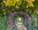 villa-ritrovato-garten.jpg