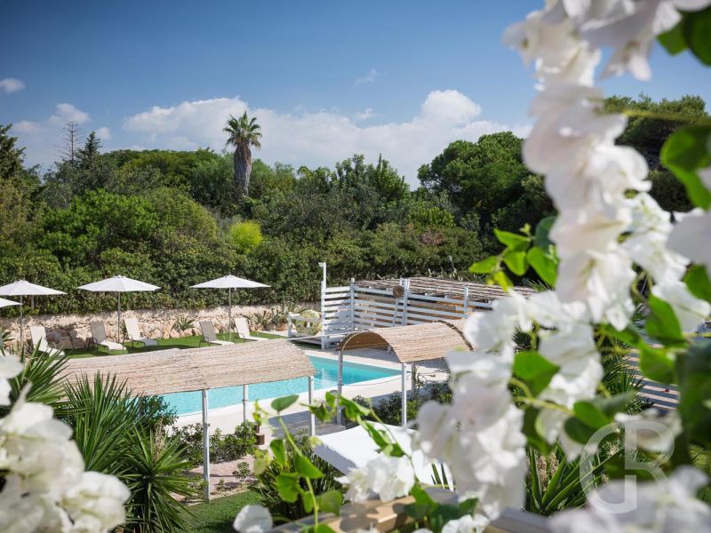 villa-timparosa-pool-mit-sonnenliegen.jpg