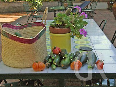 casa-di-pippinitto-gemuese-aus-dem-garten.jpg