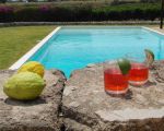 ferienhaus-aurora-am-pool.jpg