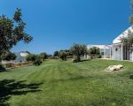 ferienhaus-ulivi-garten-und-ferienhaus.jpg