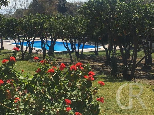 ferienwohnung-catania-jgartenbereich-mit-poolpg.jpg