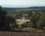 ferienwohnungen-donnafugata-olivenhaine-und-pool.JPG