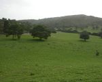 ferienwohnungen-donnafugata-umgebung.JPG
