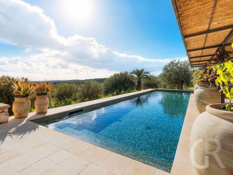 villa-ziguli-pool.jpg