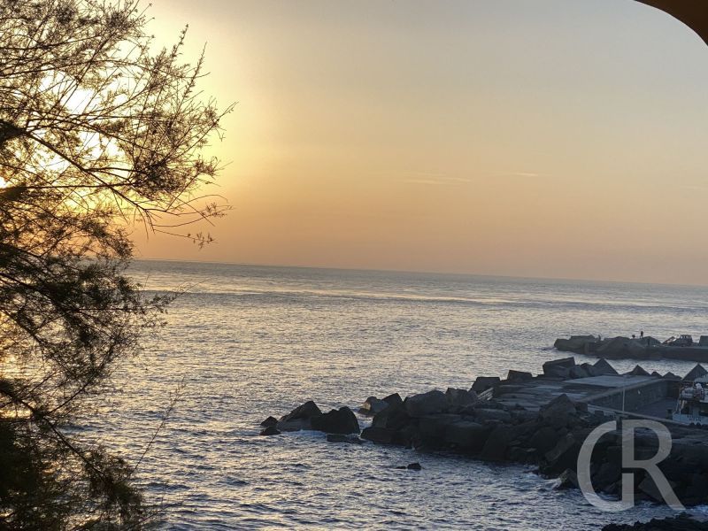 aurora-blick-auf-das-meer.jpeg