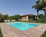casa-limoni-pool-und-grosse-palmen.jpg
