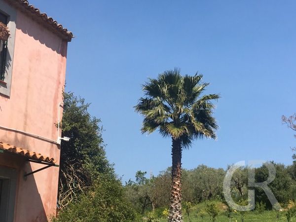 ferienwohnung-ciaculli-garten.jpg