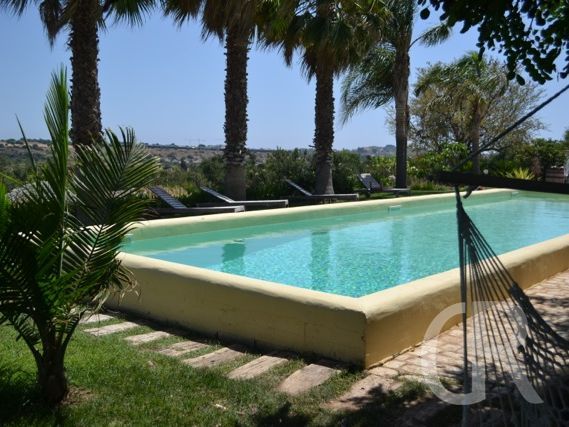 pool-unter-den-palmen.jpeg