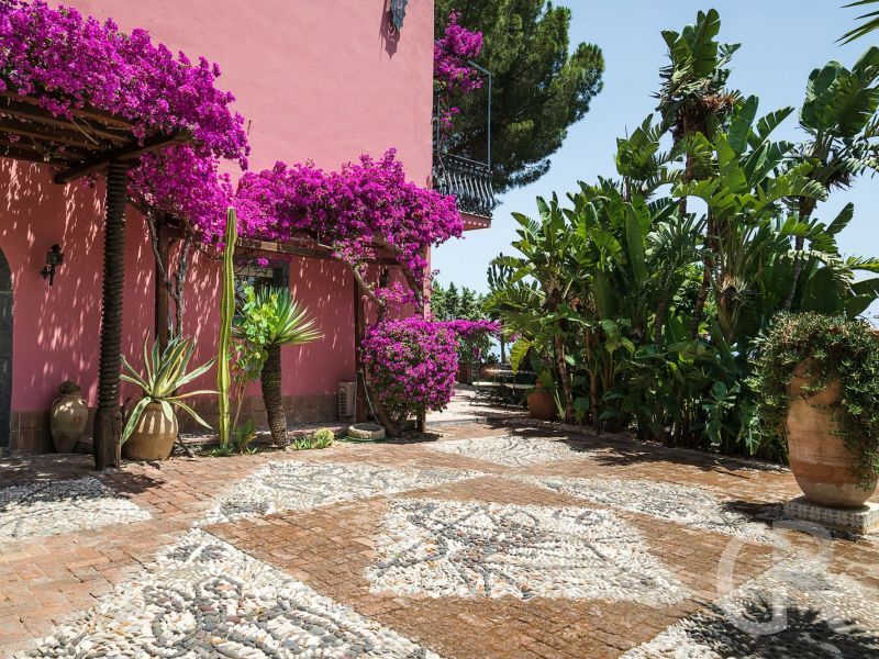 villa-la-boheme-pflanzen-im-garten.jpg