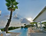 villa-nausica-palme-am-pool.jpg