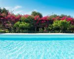 villa-ritrovato-pool-und-garten.jpg