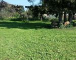 casa-limoni-grosser-garten.jpg