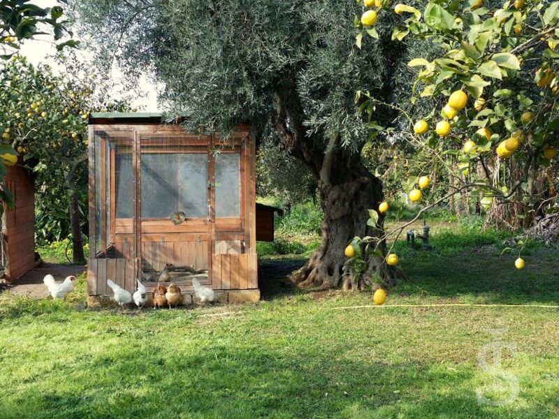 casa-limoni-imgarten.jpg