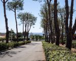 ferienhaus-marisol-blick-zum-meer.jpg