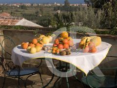 ferienwohnungen-im-agriturismo-reiche-zitronen-und-orangenernte.jpg