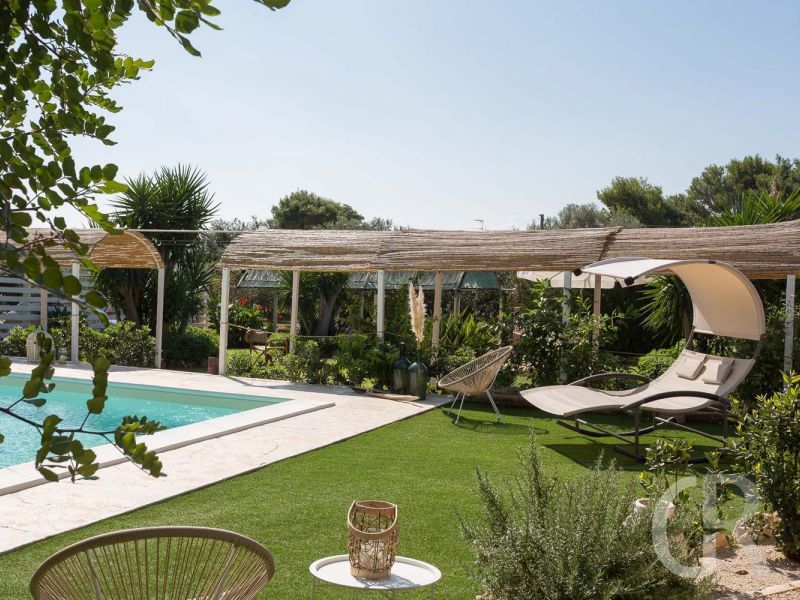 timparosa-garten.jpg