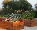 villa-cuore-verde-gartenbeete.jpg