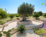 villa-pigna-blue-gartenanlage.jpg