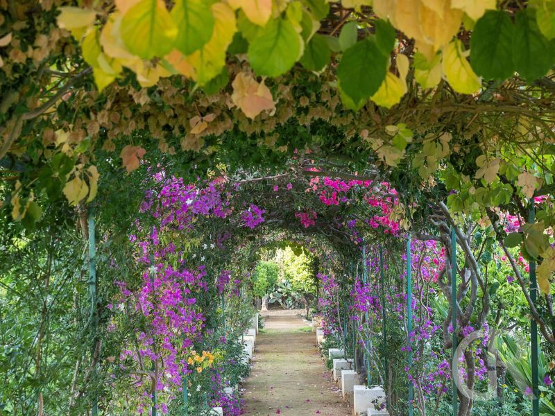 villa-ritrovato-garten.jpg