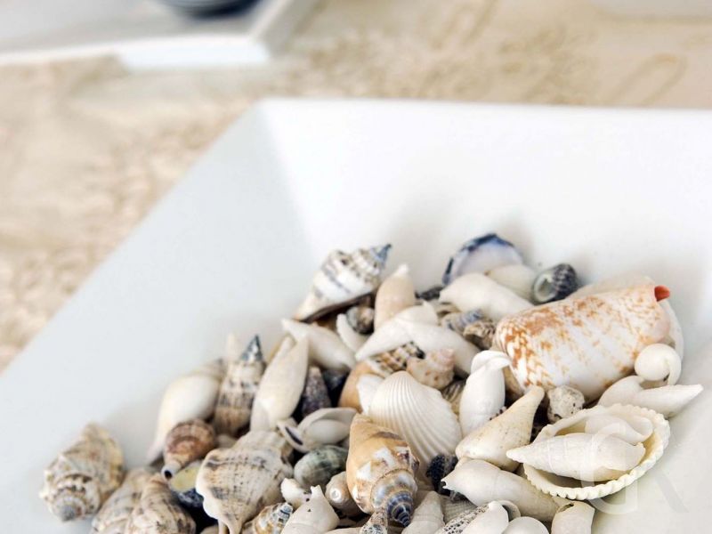 casa-contemplamare-1-muscheln.jpg