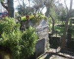 casa-di-pippinitto-blick-in-den-garten.JPG