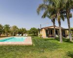 casa-limoni-palmen-am-pool.jpg