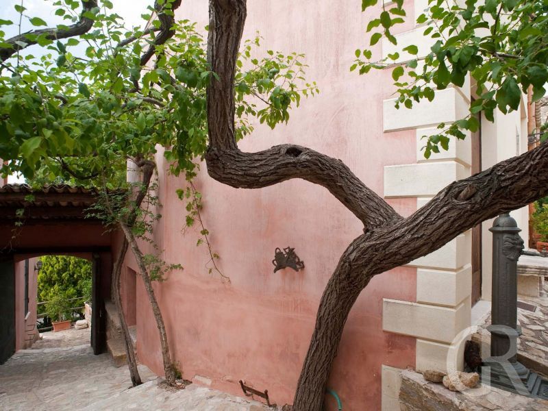 casa-titi-baeume.jpg