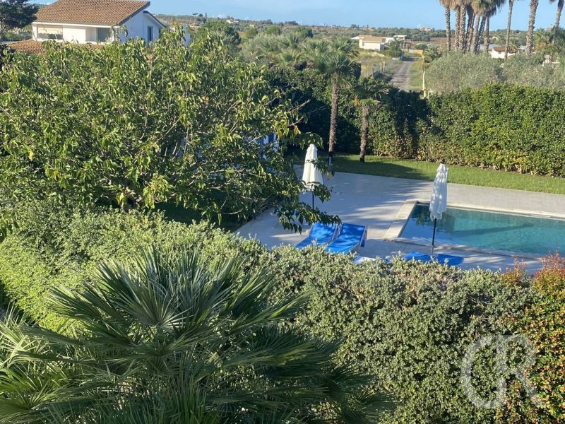 cecilia-am-pool.jpeg