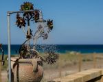 ferienwohnung-san-lorenzo-meer.jpg