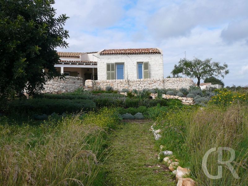 villa-cuore-verde-blick-vom-garten.jpg