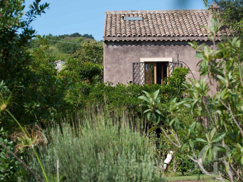villa-palmento-monterosso-ueppige-blumen.jpg