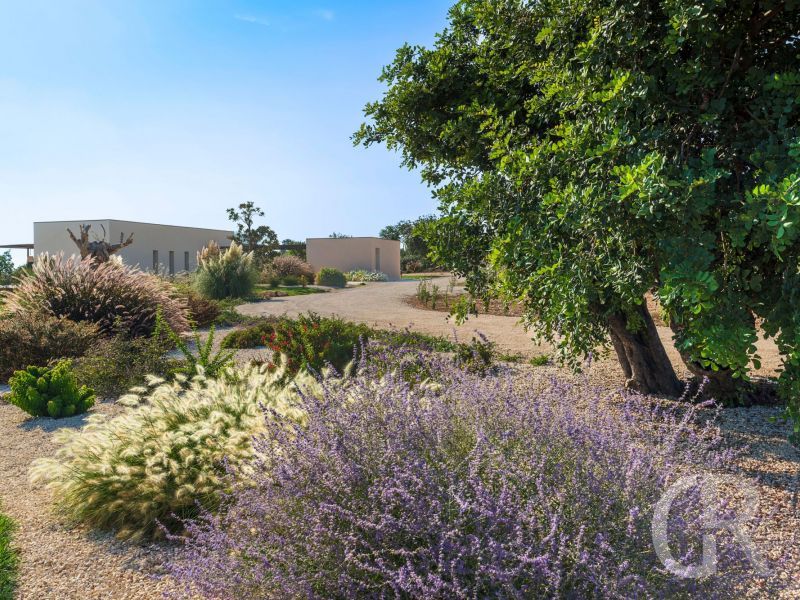 villa-passo-salina-garten.jpg