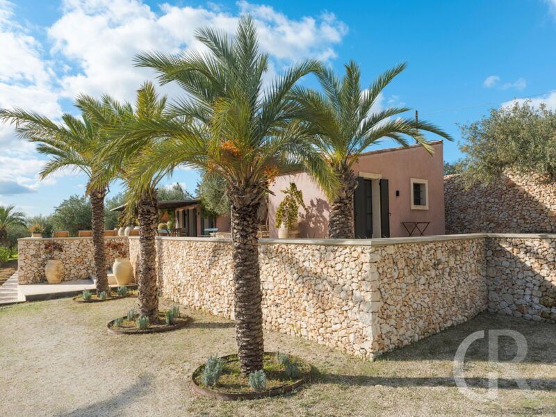 villa-ziguli-palmen.jpg
