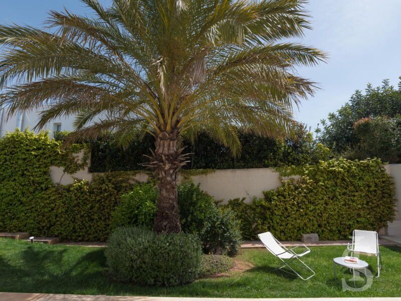 villa-federica-schoener-platz-zum-ausruhen-unter-palmen.jpg