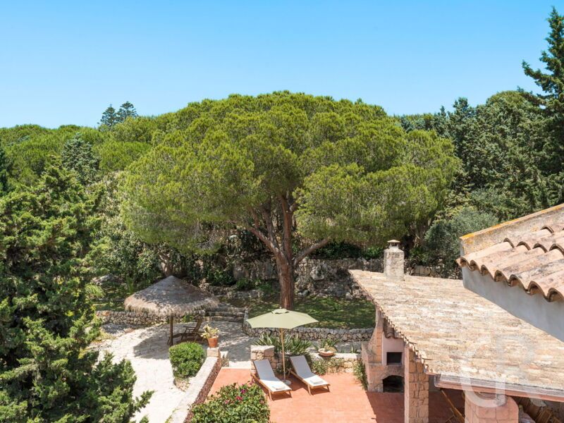 villa-maddalena-blick-auf-die-vilal-von-oben.jpg