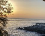 aurora-blick-auf-das-meer.jpeg