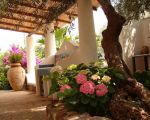 casa-eoliana-terrasse-mit-blumen.jpg