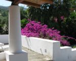 ferienwohnung-la-pagliera-bluehende-bougainvillea-an-der-terrasse.jpg