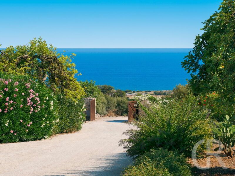 gelsi-blick-auf-das-meer.jpg