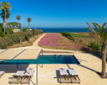 villa-calamare-weg-zum-meer.jpg